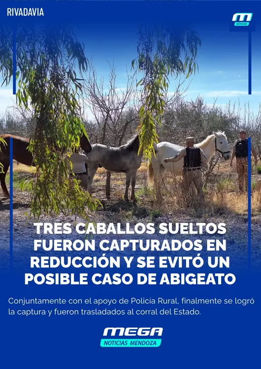 tres caballos