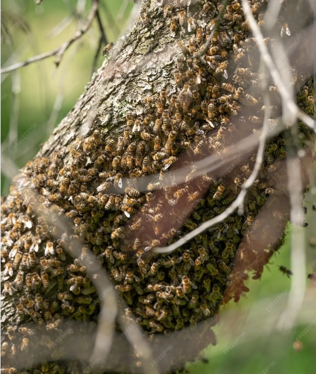 Screenshot_20250212_184745_Chrome