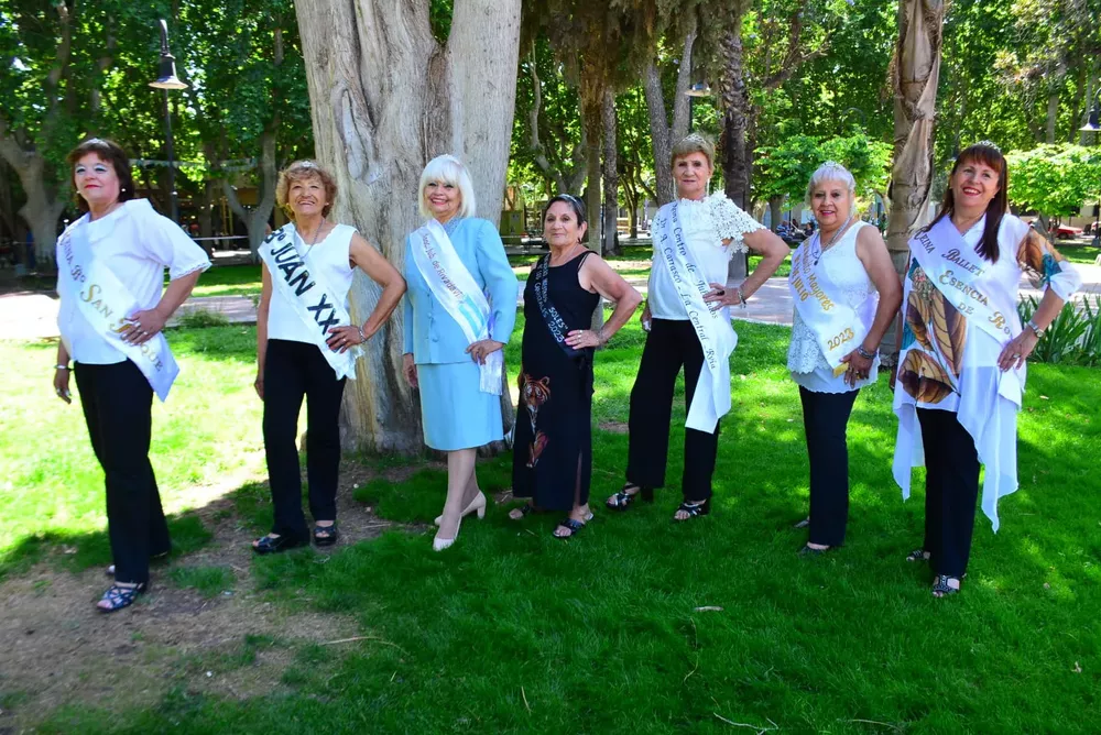 WhatsApp Image 2022-11-18 at 14.38.11