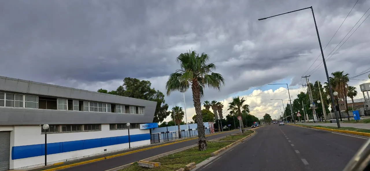 WhatsApp Image 2025-11-26 at 11.35.54