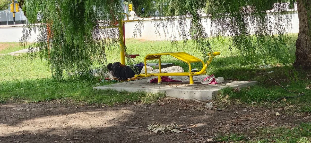 WhatsApp Image 2026-03-17 at 10.39.41