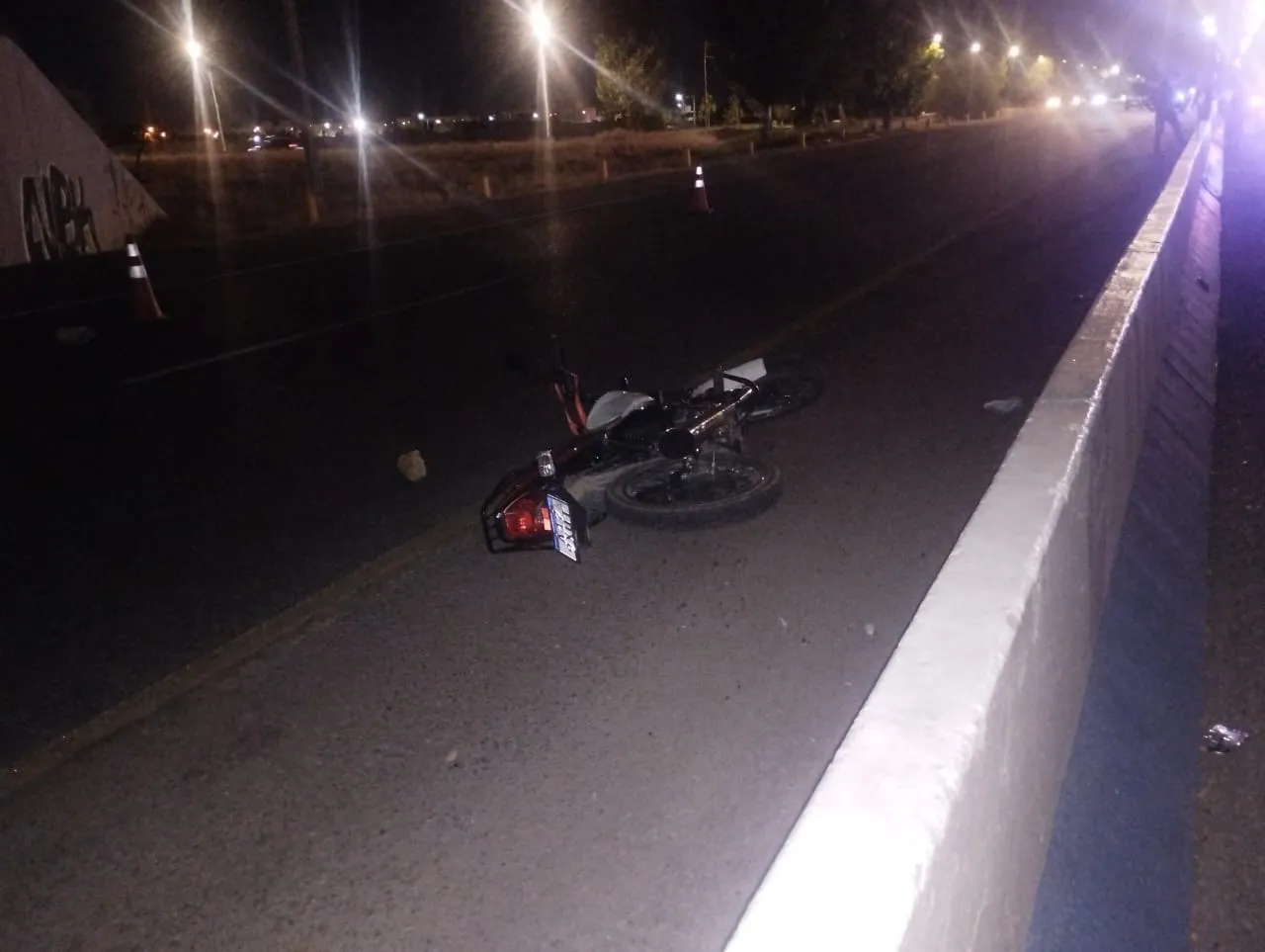 WhatsApp Image 2024-12-29 at 08.39.26 (1)