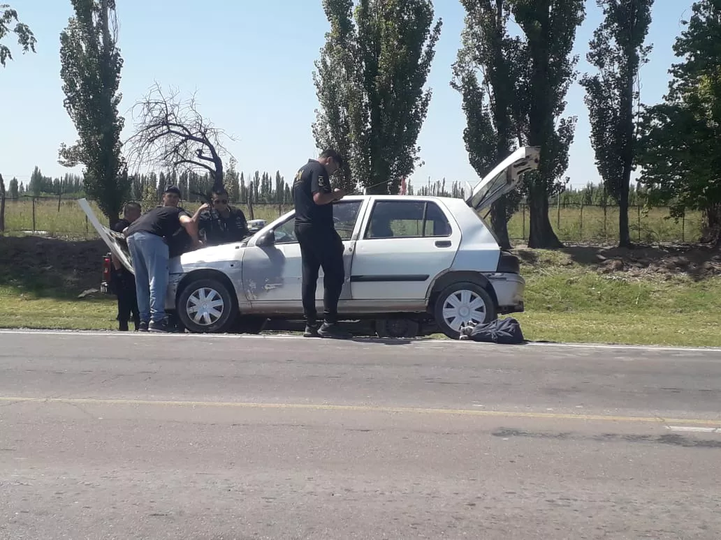 WhatsApp Image 2023-02-08 at 15.17.12