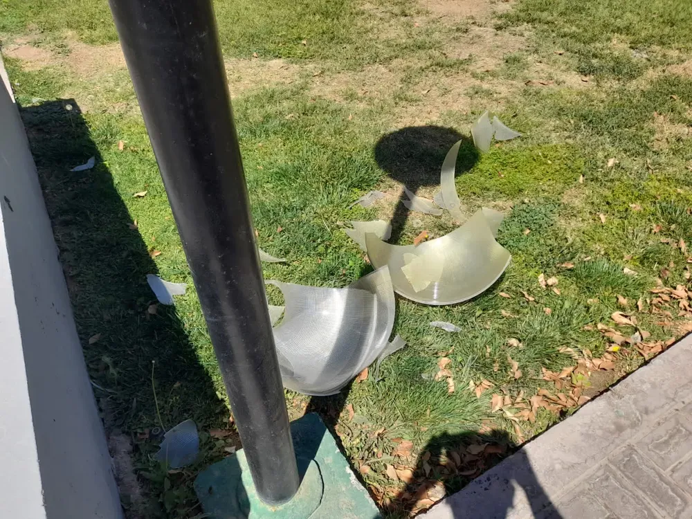 56540072-eb4a-4644-9504-7a8ededca1f4