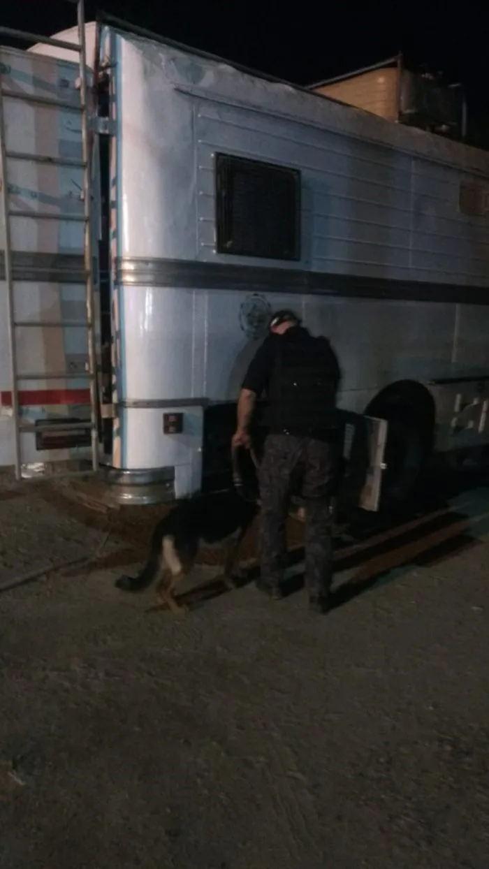 PORTADA-SIENA-700x1244