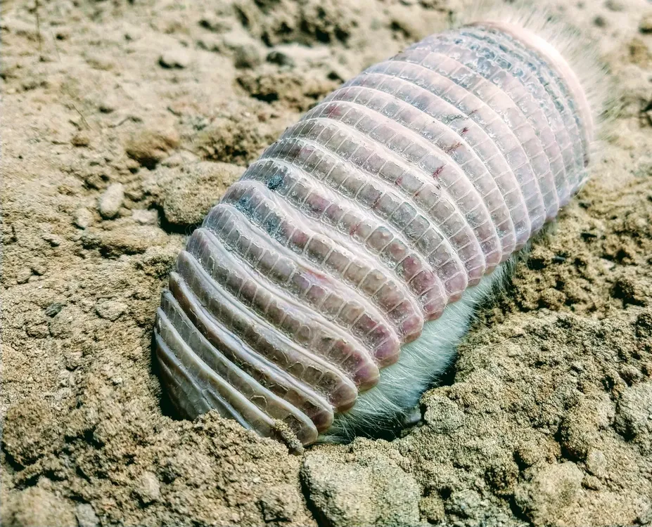 WhatsApp-Image-2025-02-19-at-15.48.32-2