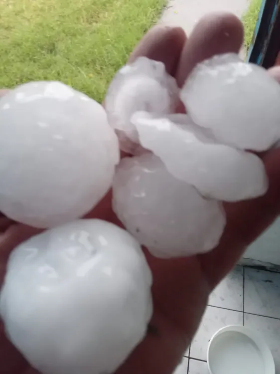 WhatsApp Image 2025-11-14 at 08.49.38