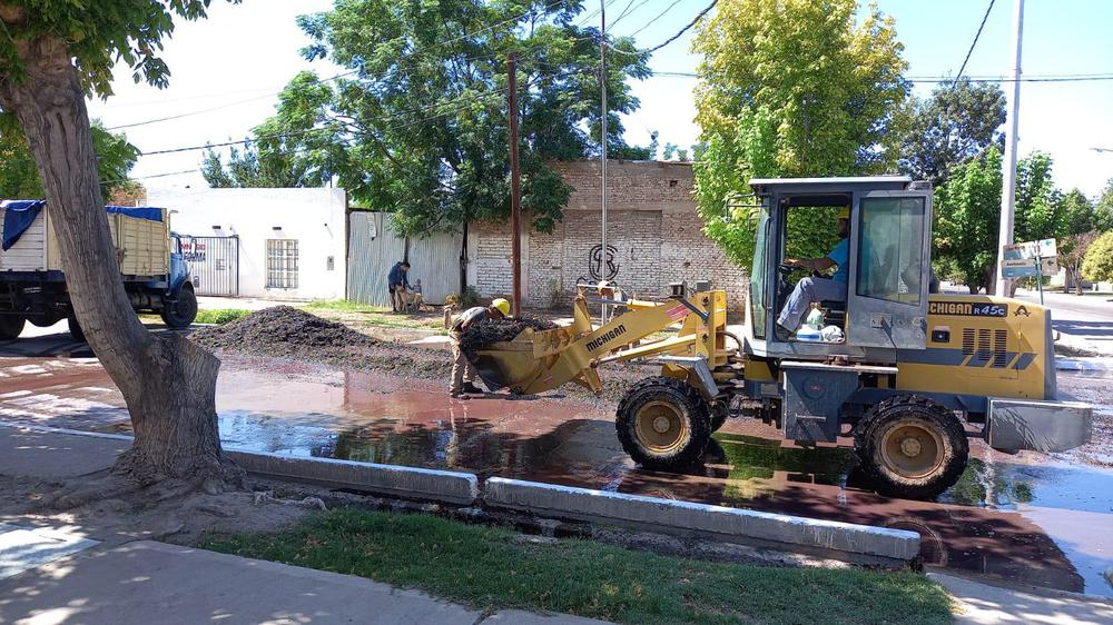 WhatsApp Image 2022-03-18 at 1.00.23 PM