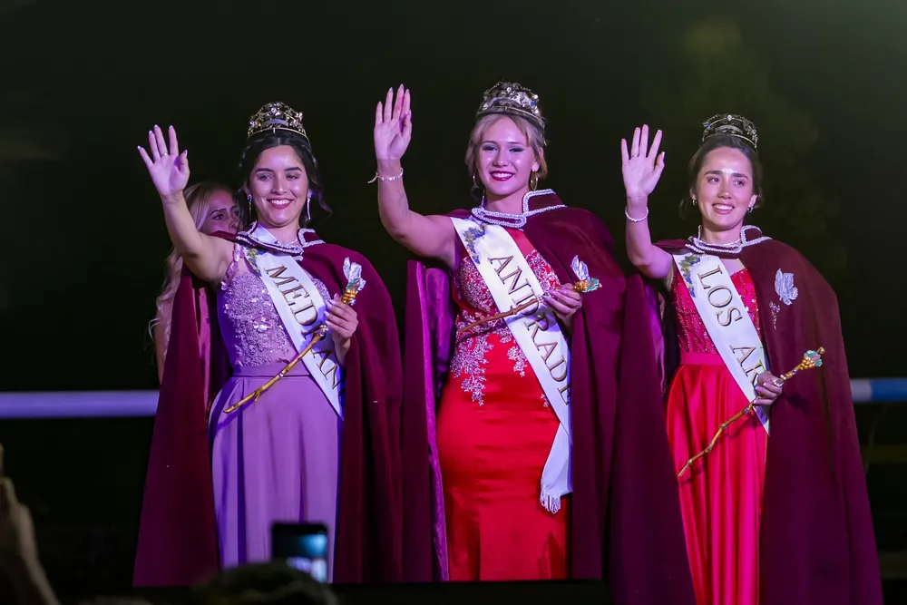 Sabado de vendimia Los Arboles etc.-5483