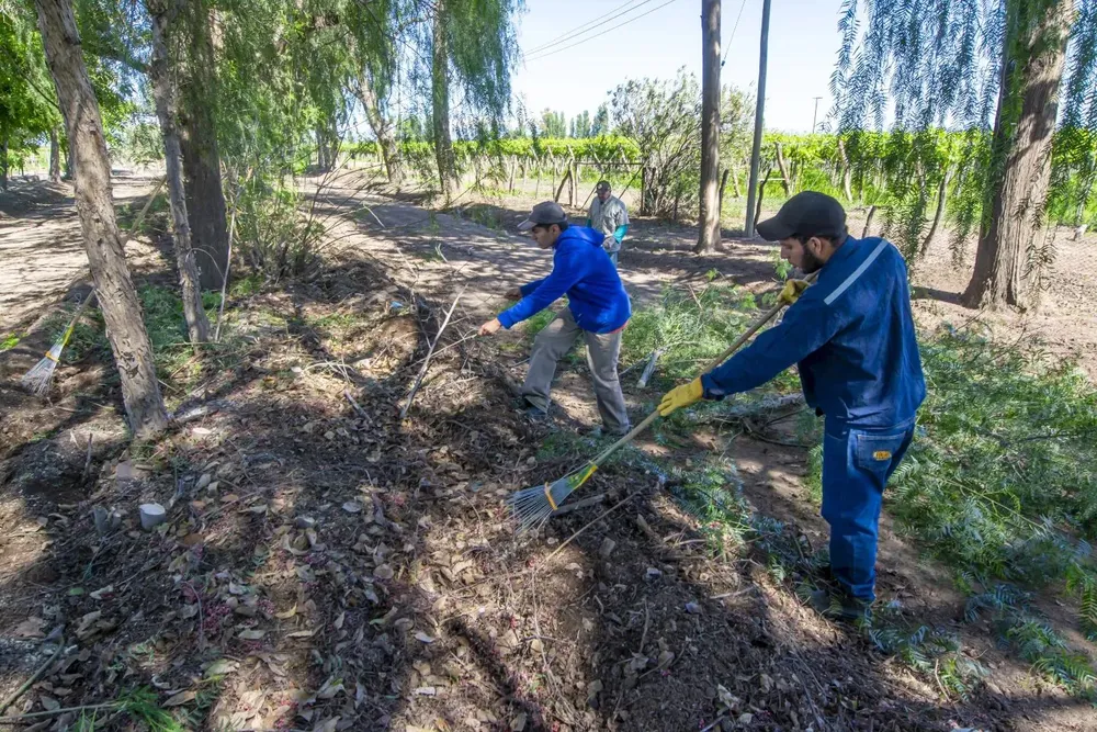 464813794_18356484445136158_1455044046247344395_n