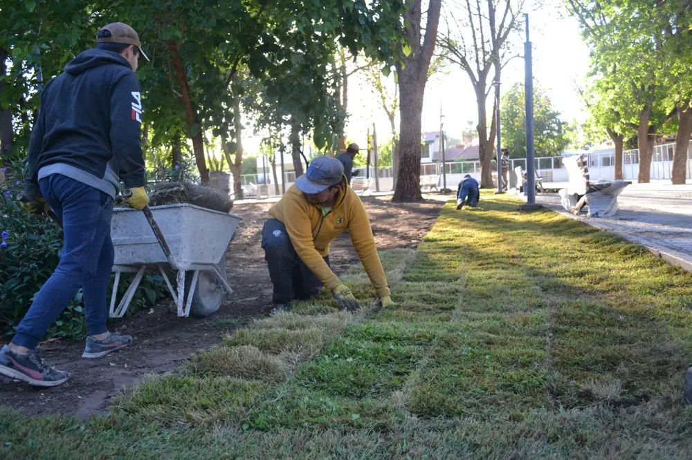 WhatsApp Image 2023-11-07 at 11.13.00