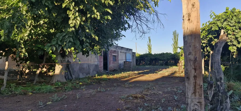 WhatsApp Image 2026-01-28 at 07.58.12 (2)