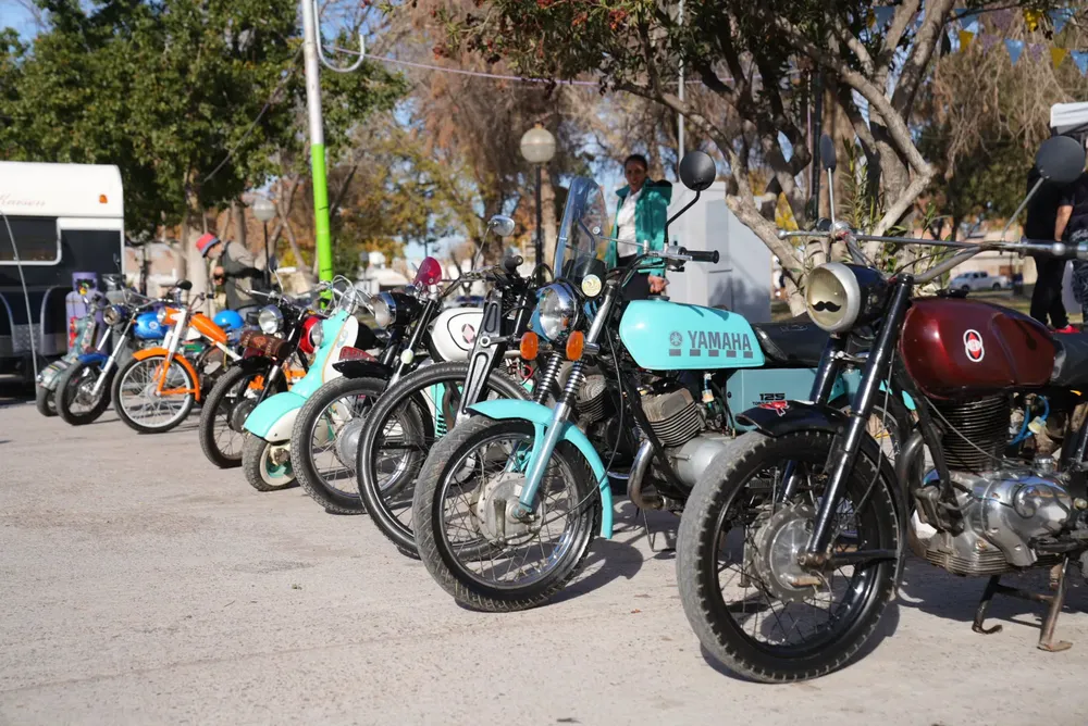 448201546_863924252432859_2683834009919123382_n