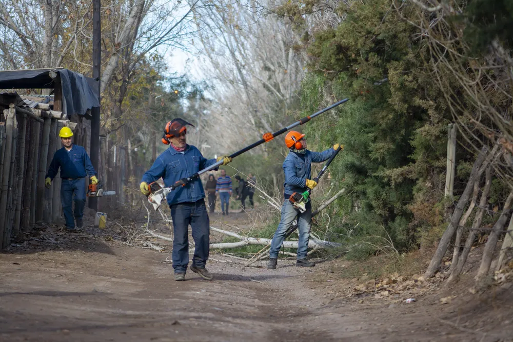 Poda y Luminarias Callejon Arroyo-0309