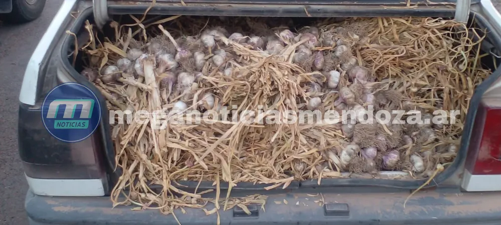 a_20251121_232528_0000