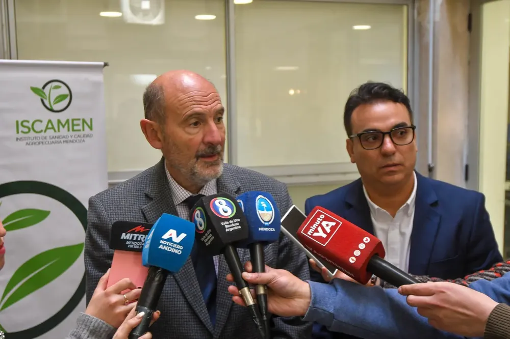 WhatsApp Image 2025-08-19 at 18.59.43