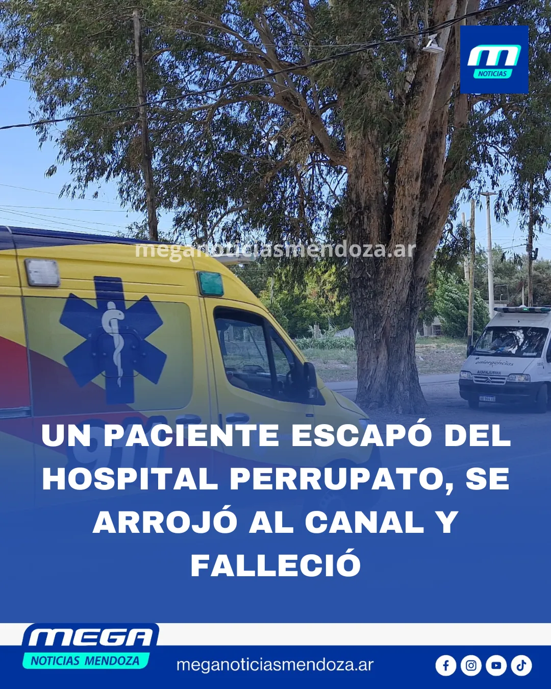 Añadir un título_20260219_204641_0000