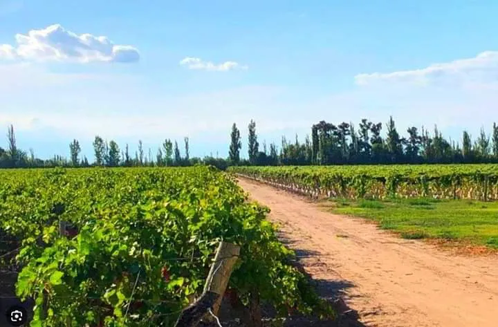 finca viña