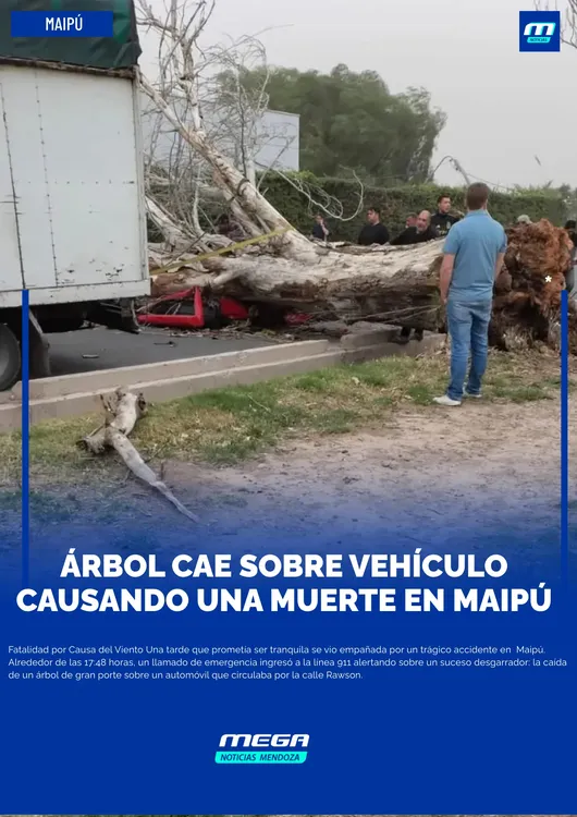 arbol