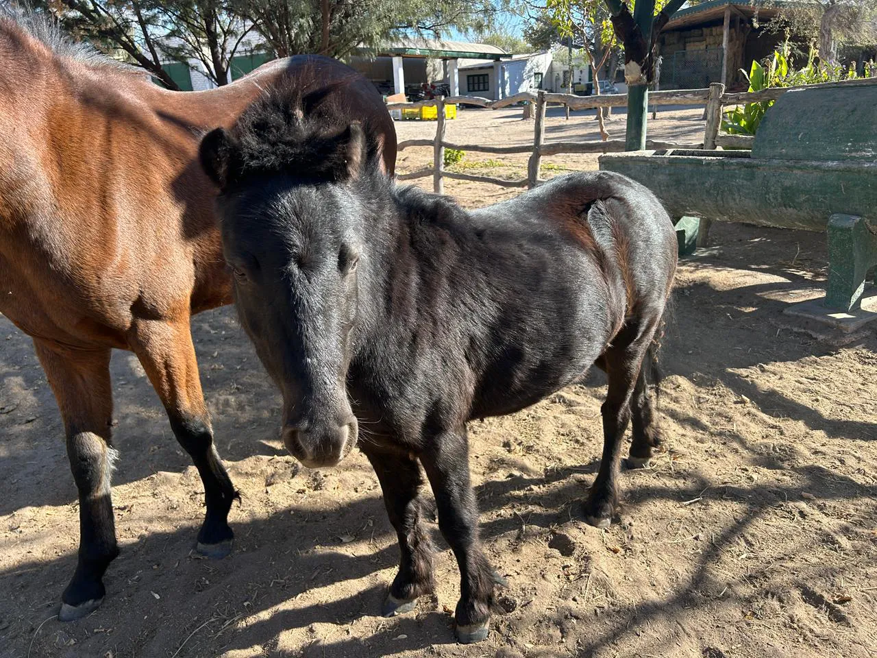 WhatsApp-Image-2025-08-13-at-20.16.34