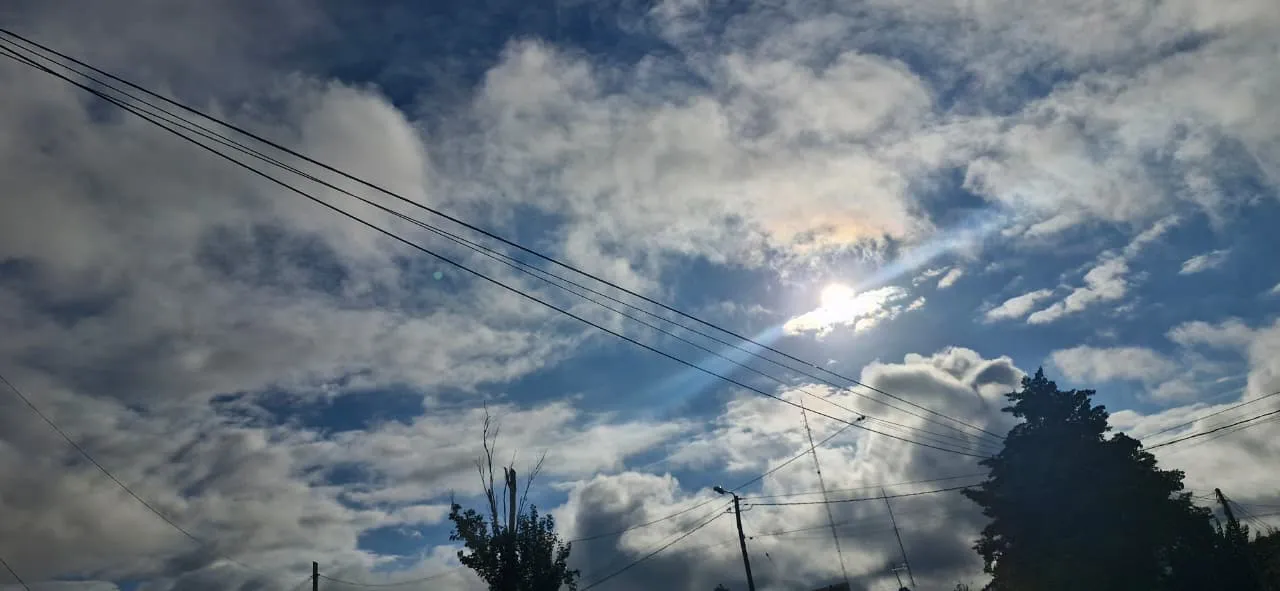 WhatsApp Image 2026-02-21 at 09.31.57