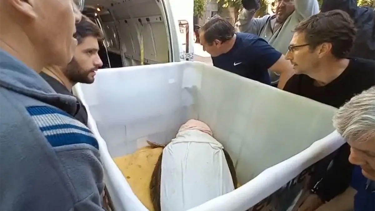 traslado-tortugo-jorge-4jpg