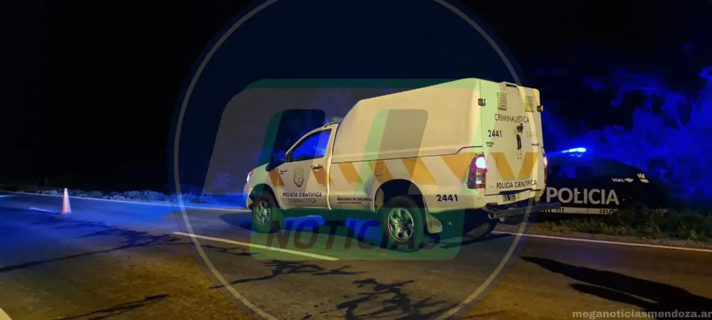 a_20241117_224616_0000