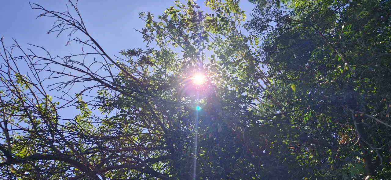 WhatsApp Image 2025-12-08 at 10.12.48