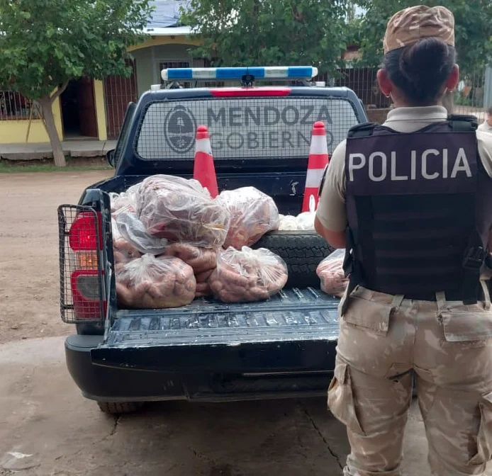 WhatsApp-Image-2026-03-11-at-13.30.09