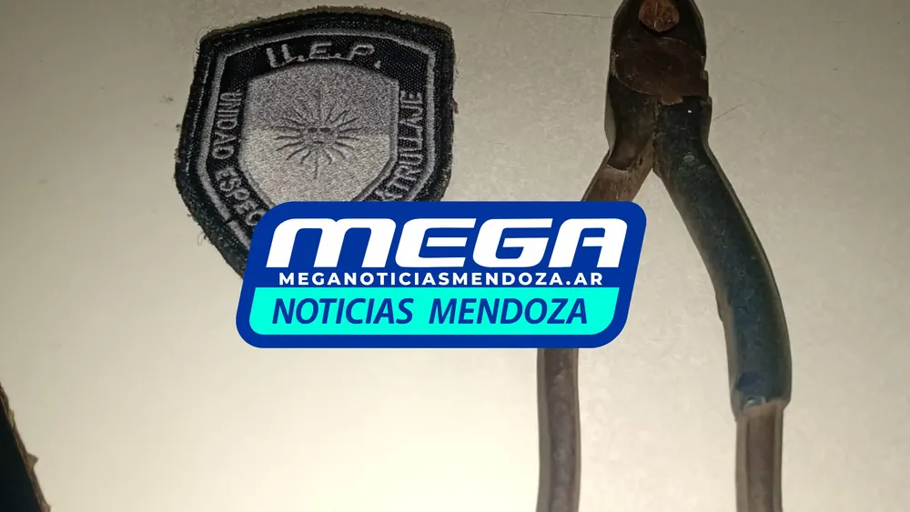 pinza