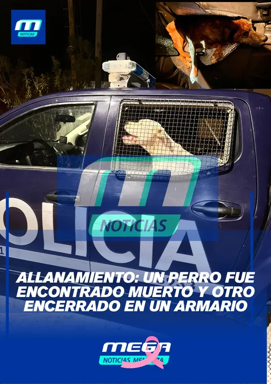 policia