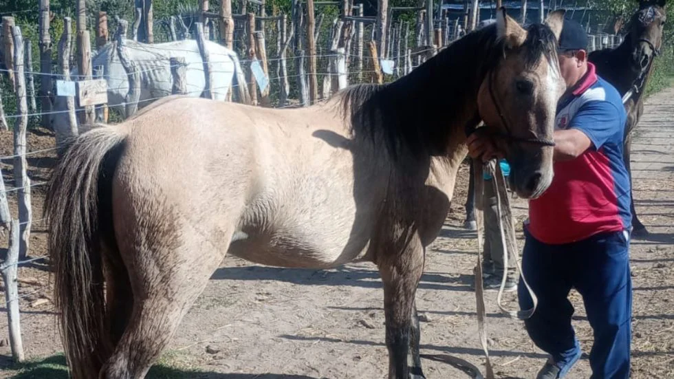 Fotos-para-la-web-1-2-980x551