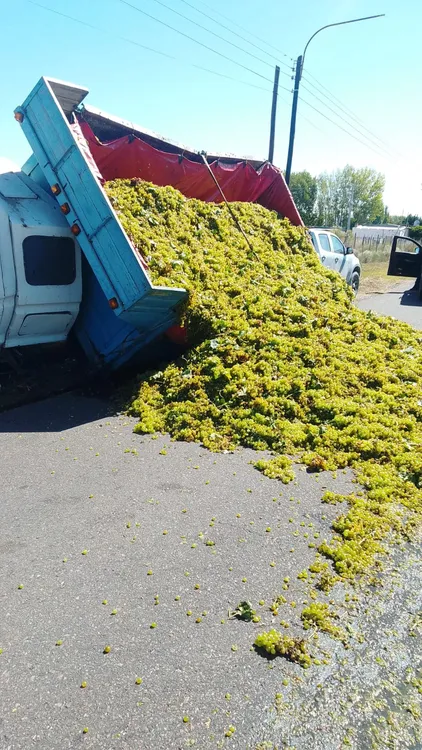 WhatsApp Image 2026-02-25 at 22.36.12