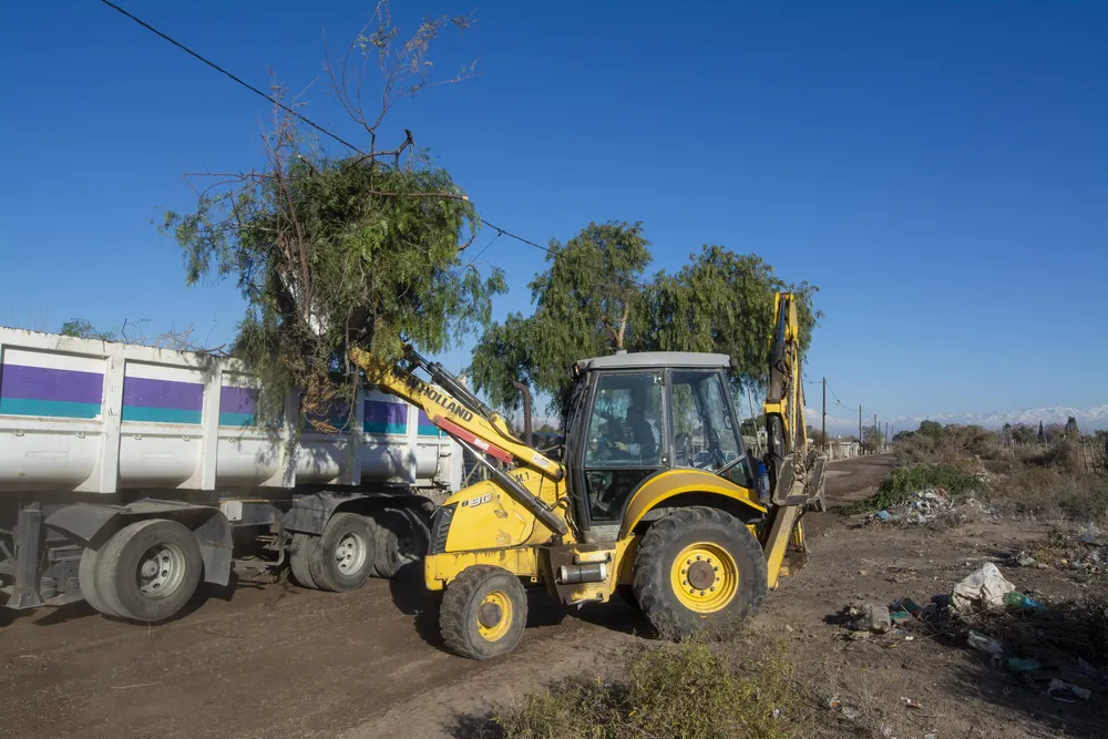 Limpieza y poda en Los Arboles-0067