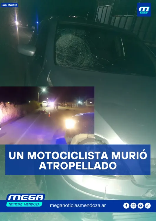 MOTO (3)