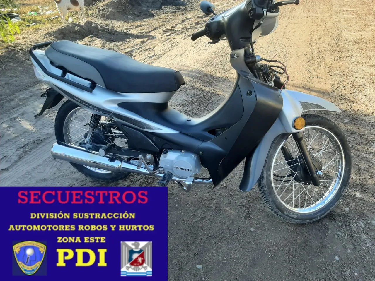 WhatsApp Image 2024-06-01 at 16.45.25