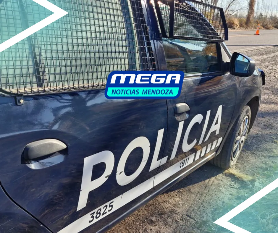 movil
