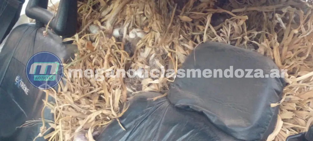 a_20251121_232625_0000