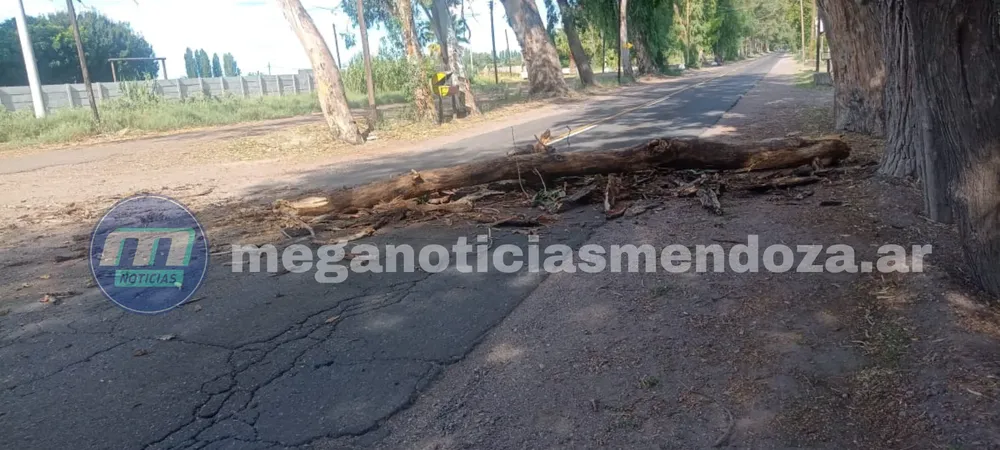 a_20250222_175900_0000