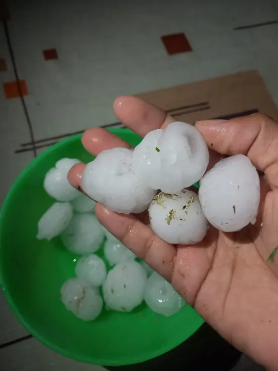 FB_IMG_1734493186196