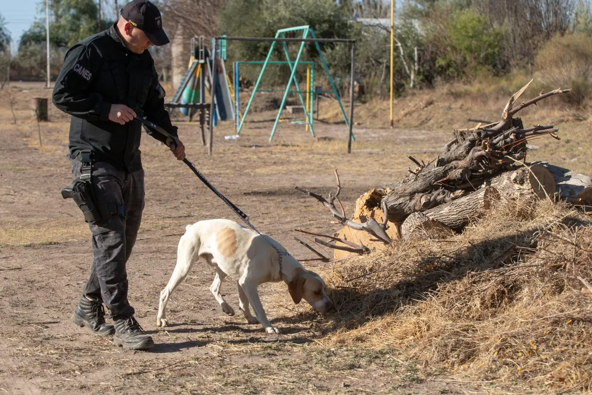 PORTADA-FOTO-CANES-1200x800