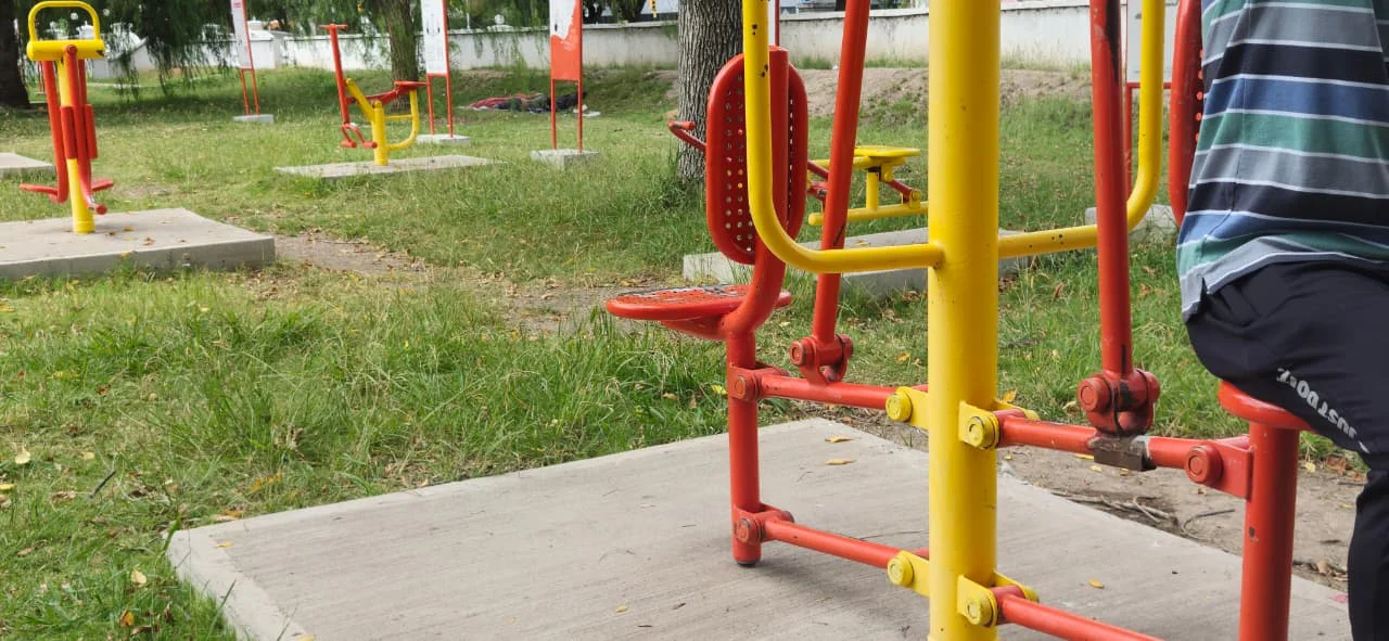 WhatsApp Image 2026-03-13 at 19.13.51