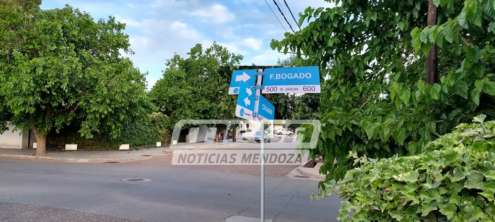 felix bogado