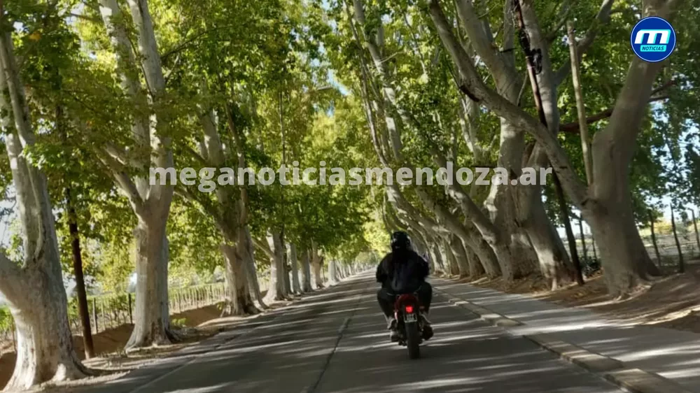 isidoro bousquet moto