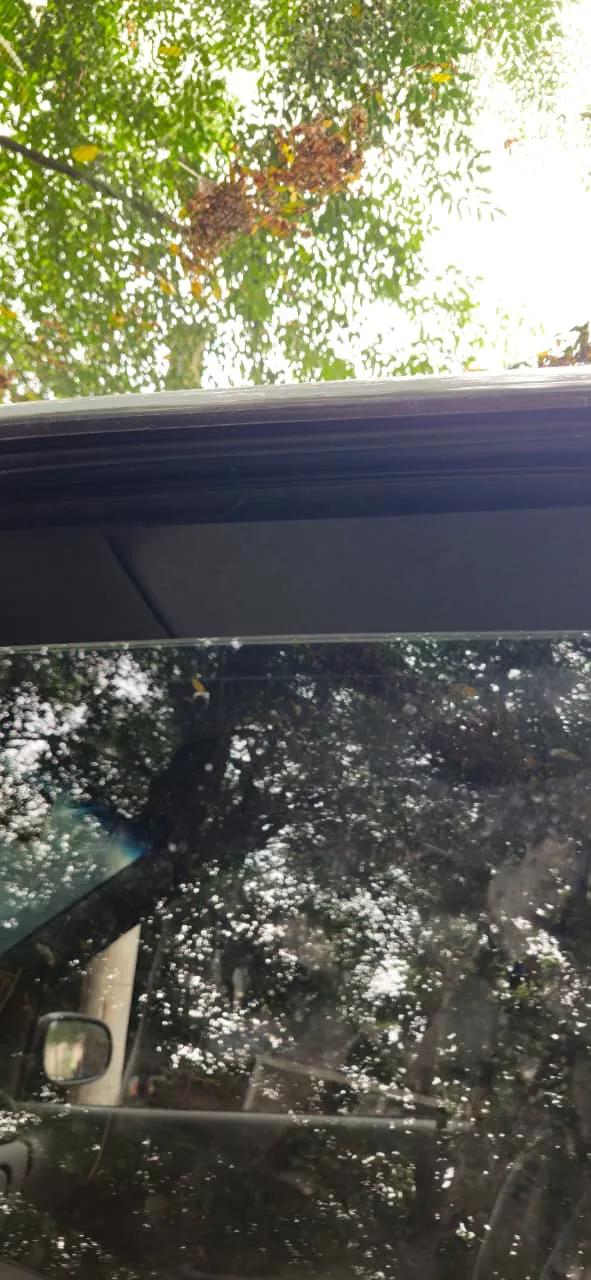 WhatsApp Image 2025-12-21 at 10.42.38