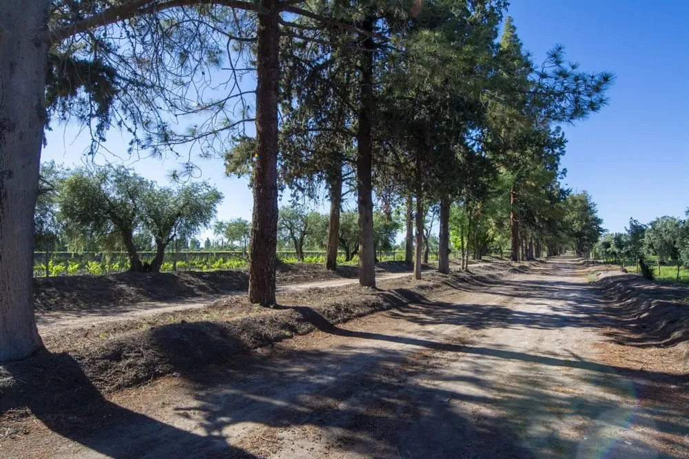 464951181_18356484523136158_5501728460993186277_n