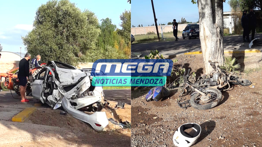 0001-19210369143_20210402_095312_0000