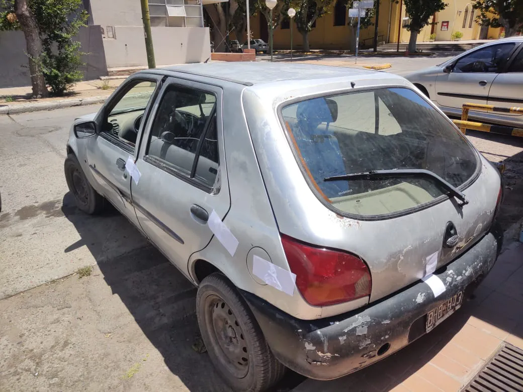 cria 13 (3)