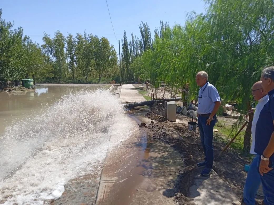 WhatsApp Image 2025-02-18 at 13.16.58