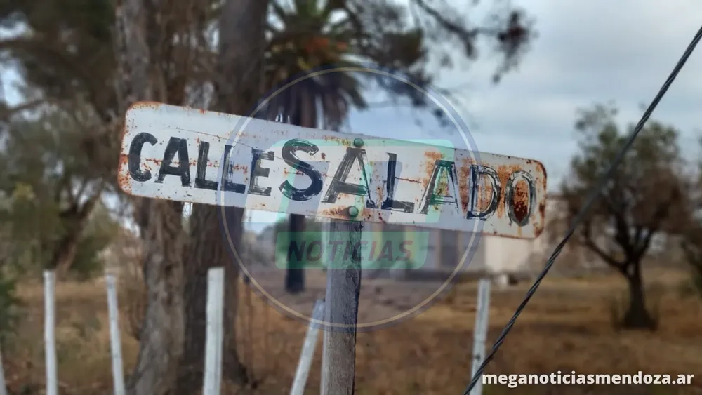 calle salado